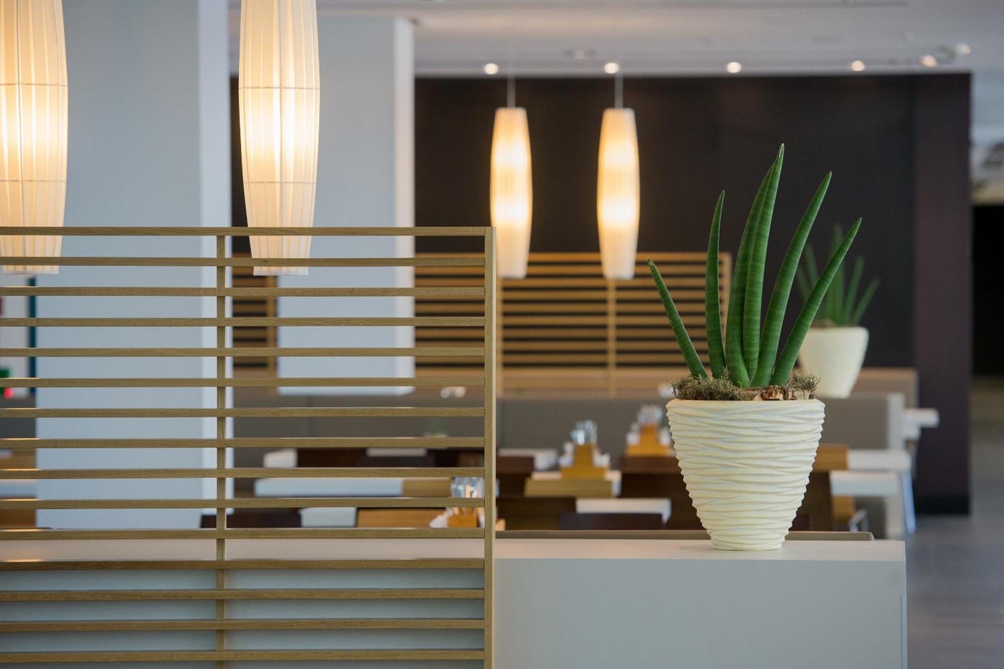 Lufthansa Seeheim - More Than A Conference Hotel מראה חיצוני תמונה